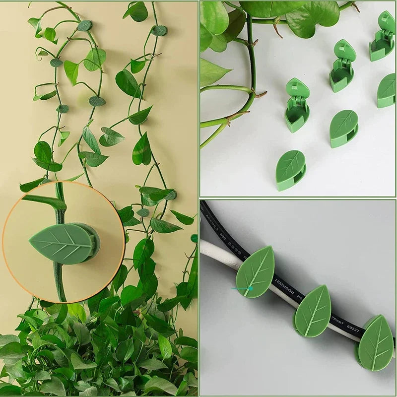 Clips de Pared para Plantas Trepadoras Autoadhesivos – Guías Invisibles para Enredaderas de Interior y Jardín