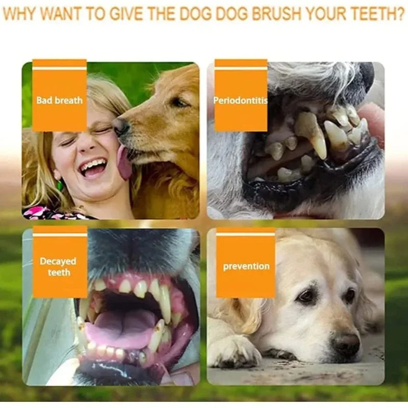 Cepillo de Dientes de Dedo para Mascotas – Cepillo de Silicona para Perros y Gatos