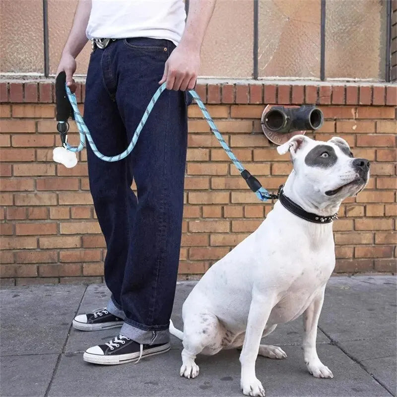 Correa Reflectante para Perros con Mango Acolchado – Cuerda Resistente de Paseo y Adiestramiento para Perros Medianos y Grandes