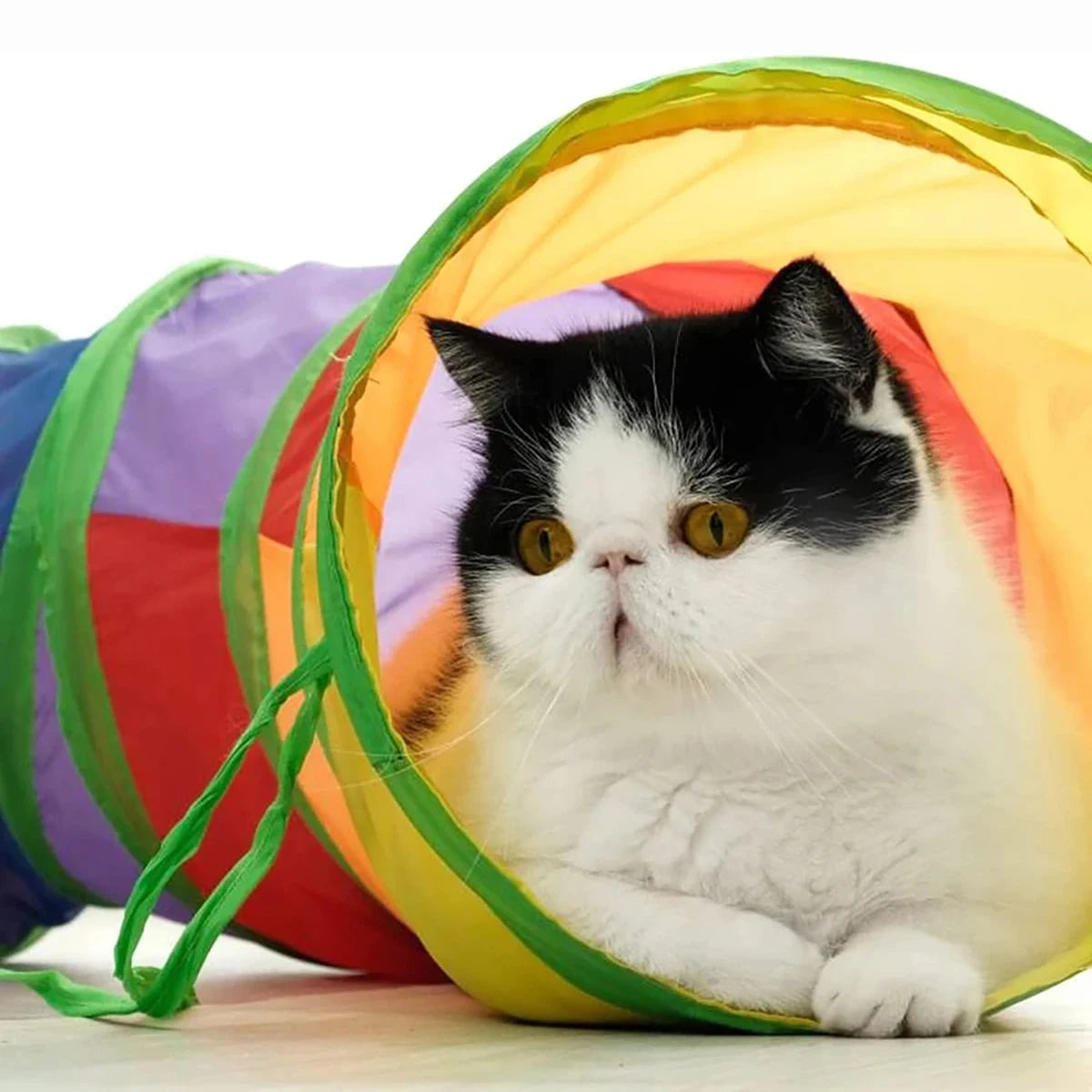 Túnel Plegable para Gatos Arcoíris 50 cm – Juguete Interactivo para Gatitos