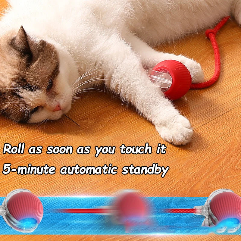 Bola Interactiva para Gatos – Juguete Automático Recargable con Cola, Simula Ratón
