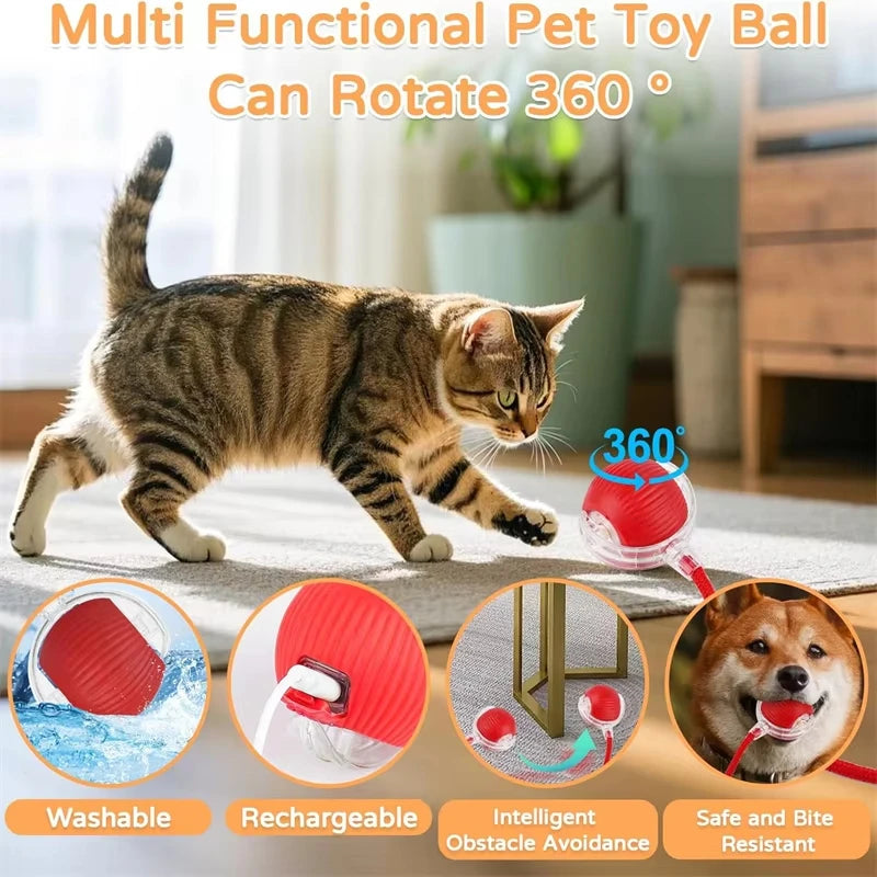 Bola Interactiva para Gatos – Juguete Automático Recargable con Cola, Simula Ratón