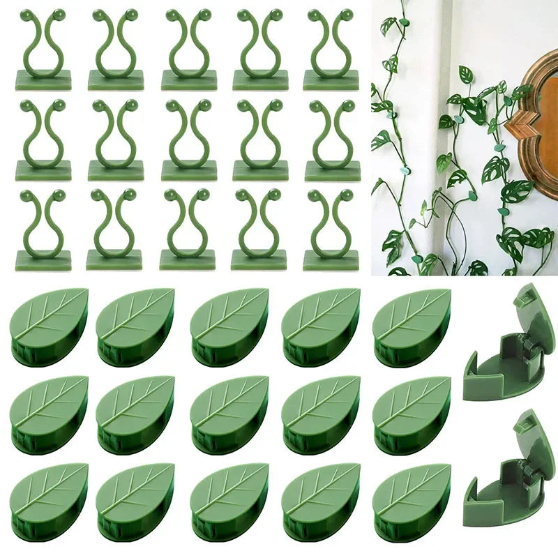 Clips de Pared para Plantas Trepadoras Autoadhesivos – Guías Invisibles para Enredaderas de Interior y Jardín