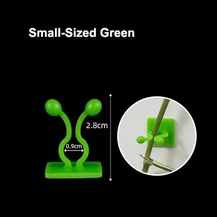 Clips de Pared para Plantas Trepadoras Autoadhesivos – Guías Invisibles para Enredaderas de Interior y Jardín