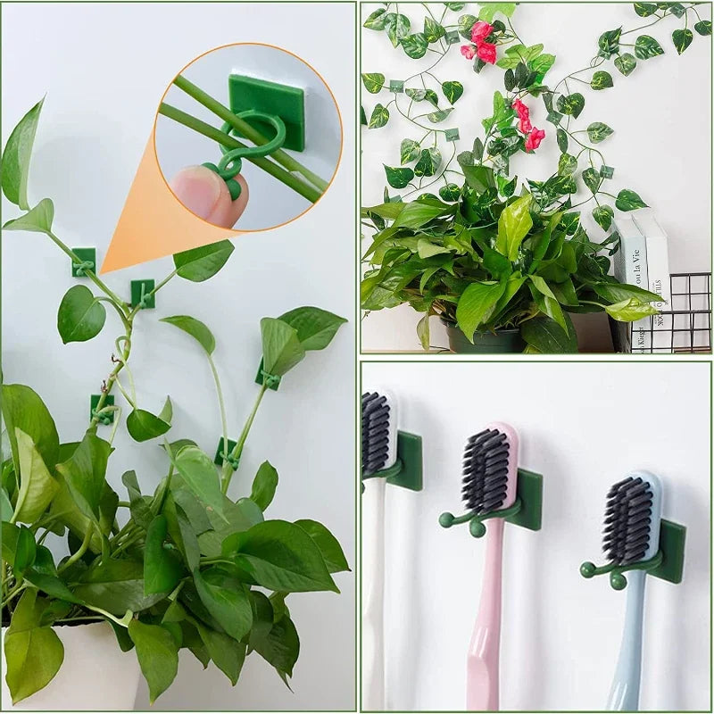 Clips de Pared para Plantas Trepadoras Autoadhesivos – Guías Invisibles para Enredaderas de Interior y Jardín