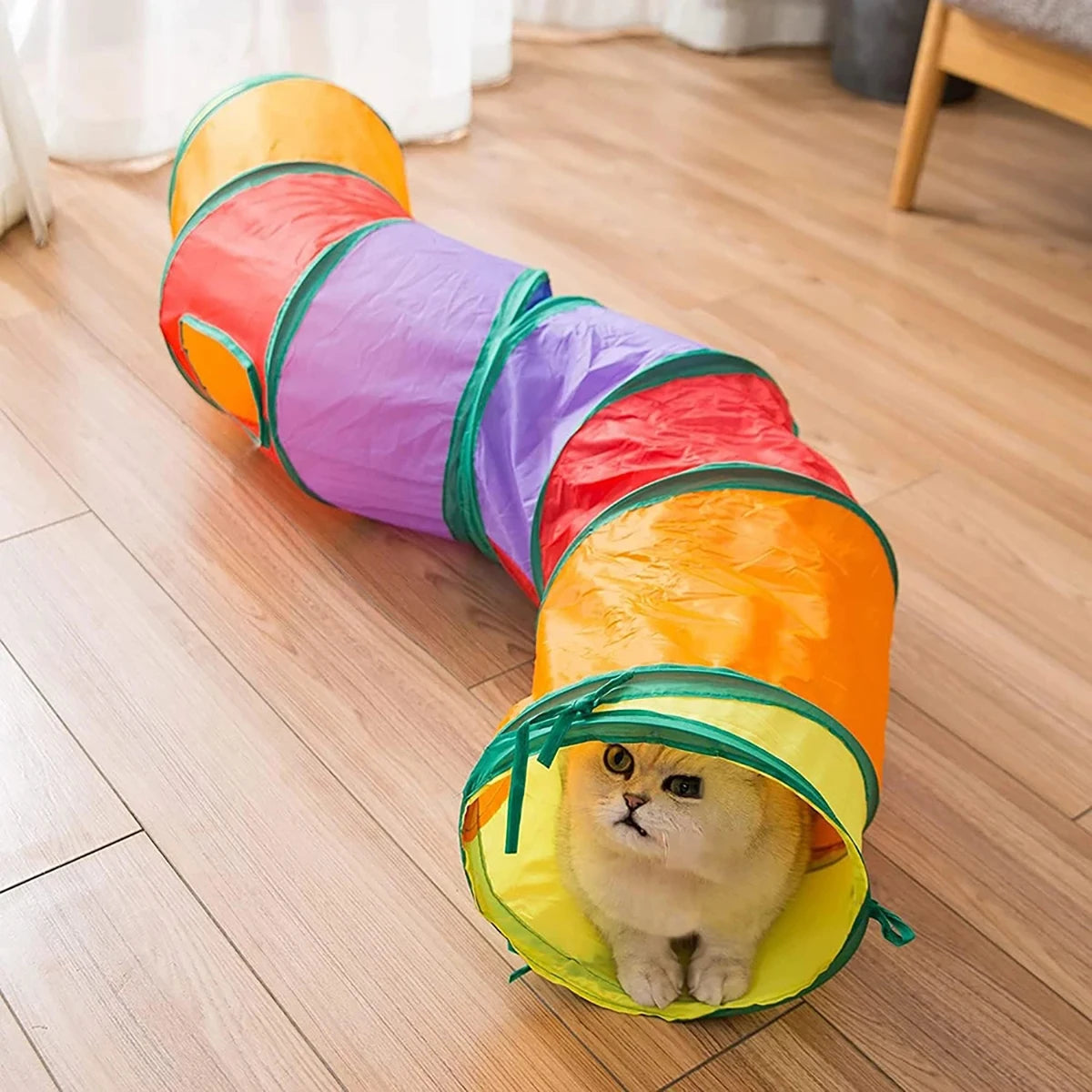 Túnel Plegable para Gatos Arcoíris 50 cm – Juguete Interactivo para Gatitos
