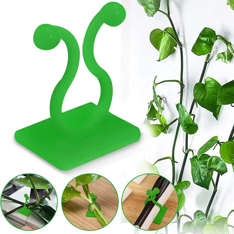 Clips de Pared para Plantas Trepadoras Autoadhesivos – Guías Invisibles para Enredaderas de Interior y Jardín